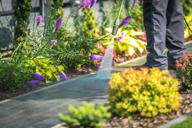 Spring Cleaning in Oak Grove, SC